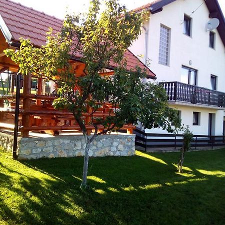 Apartments Dale Smoljanac Extérieur photo