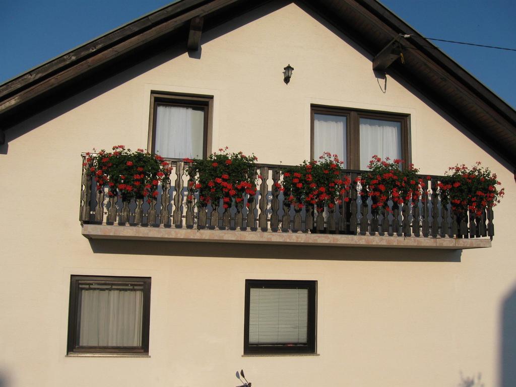 Apartments Dale Smoljanac Extérieur photo