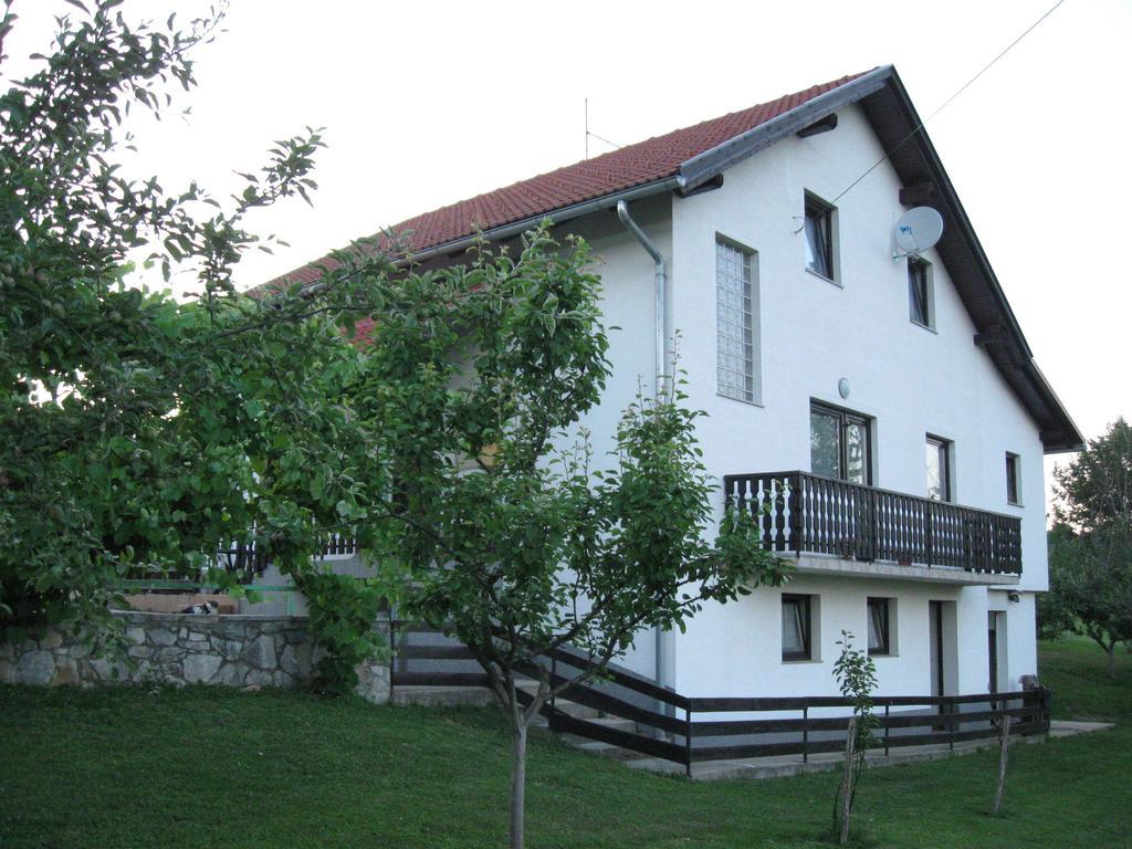 Apartments Dale Smoljanac Extérieur photo